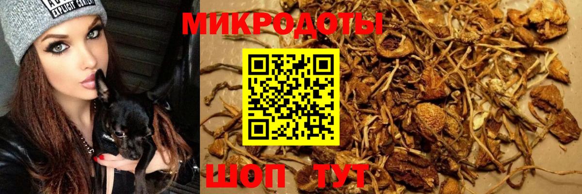 Галлюциногенные грибы прущие грибы Лесозаводск